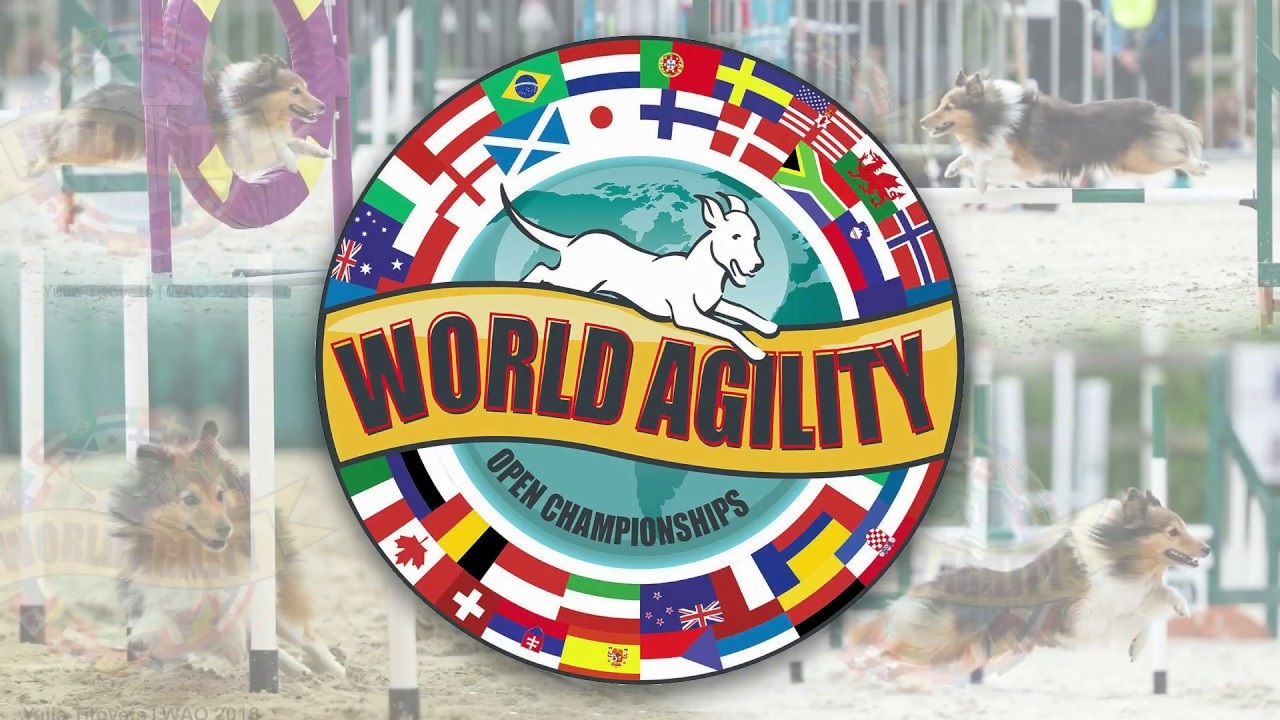 (WatchLive) The 11th World Agility Open Championships 2023 at the KNHS
